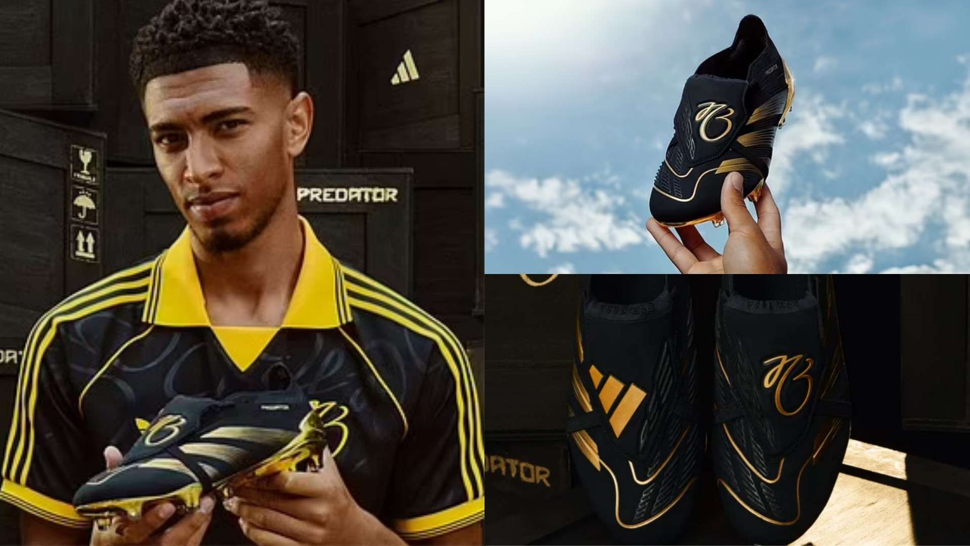 和团队贡献 和团队贡献